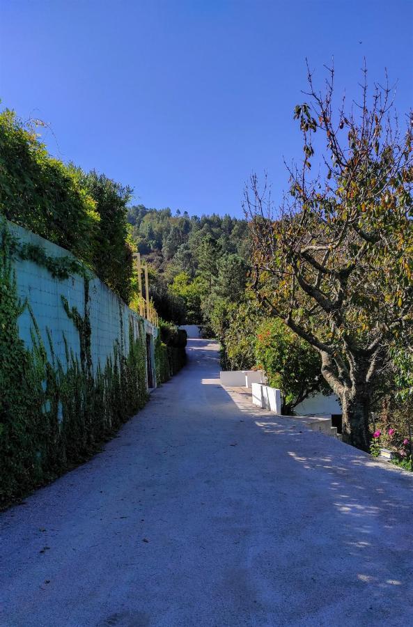 Pera Da Serra - Turismo No Espaco Rural Lousã Exterior foto